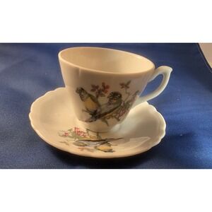 Vtg  Enesco 1976 Spring China Floral Fine China love Bird Tea Cup and Saucer Mcm
